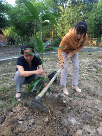 BUỔI LAO ĐỘNG CÔNG ÍCH CỦA NHÀ TRƯỜNG